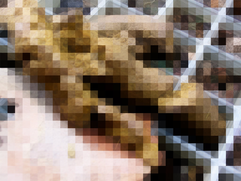 Pixel de chien moelleux