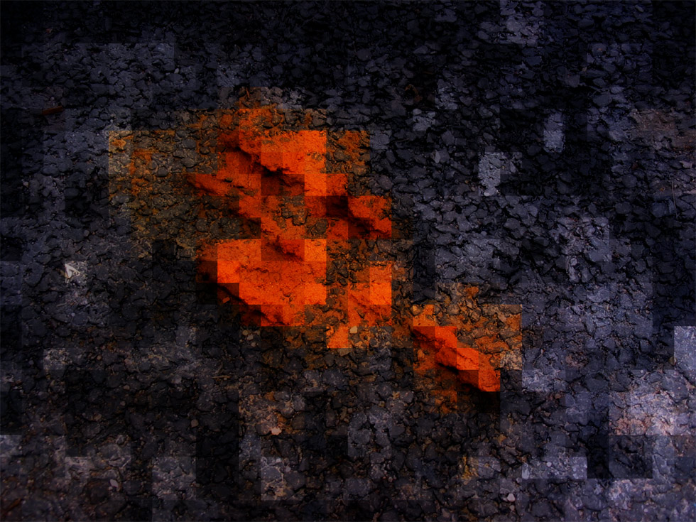 Pixel de chien écrasé