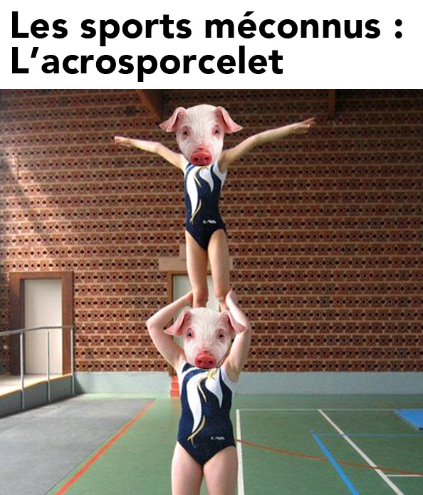 L'acrosporcelet