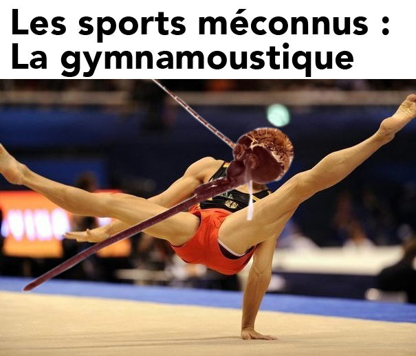 La gymnamoustique