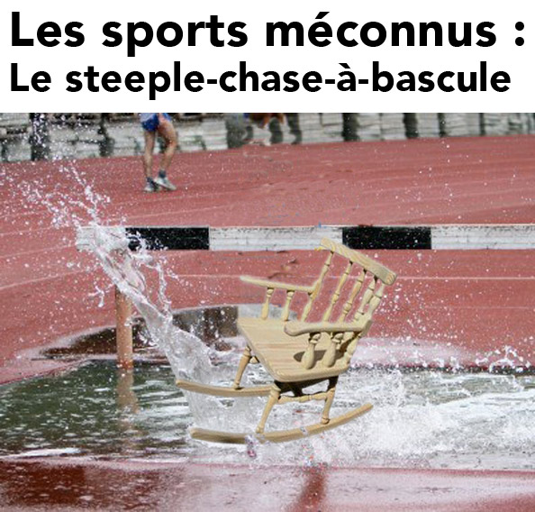 Le steeple-chase-à-bascule