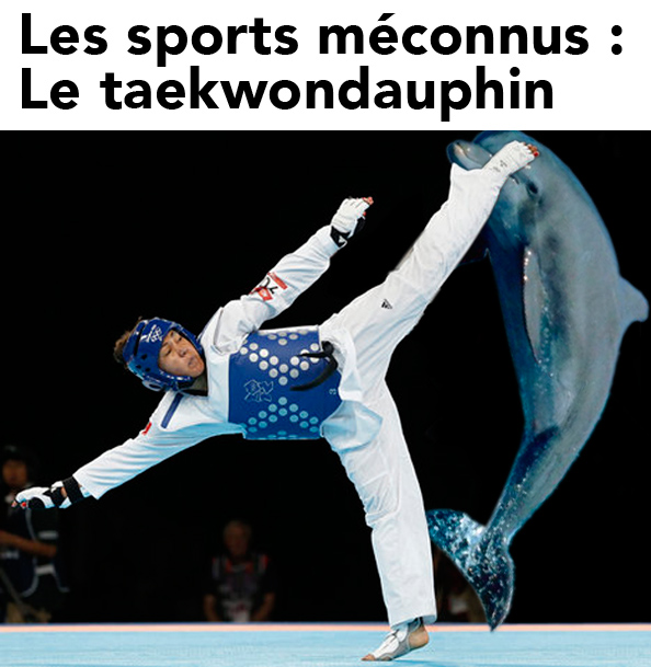 Le taekwondauphin